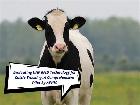 rfid cattle tracking system colorado|Livestock Tracking & 24/7 Herd Health Monitoring .